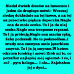Z Dyńki