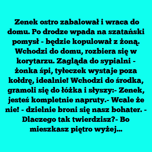 Zenek ostro zabalował