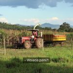 Rolnik Ciężkich Obyczajów