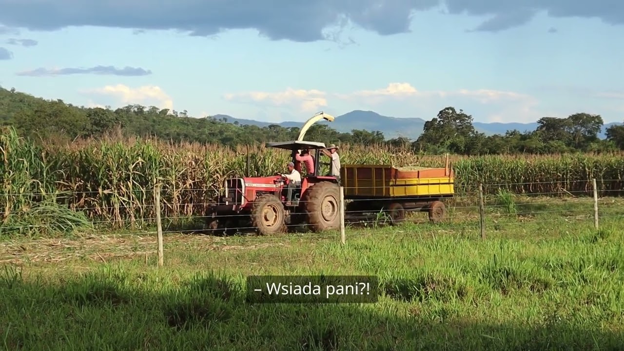 Rolnik Ciężkich Obyczajów